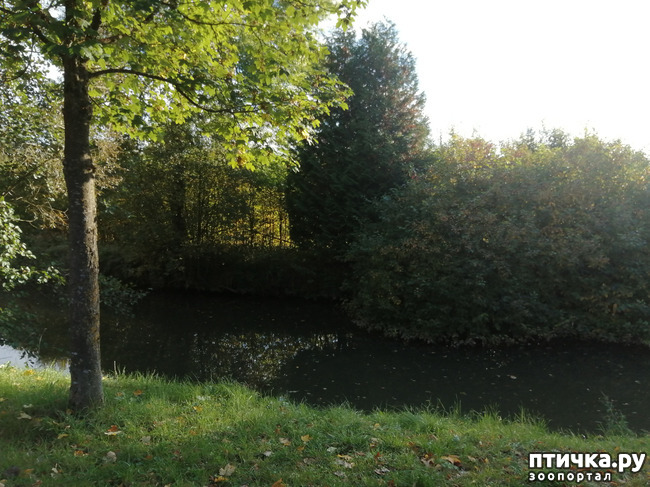 ���� 14: �������� ����� ����.