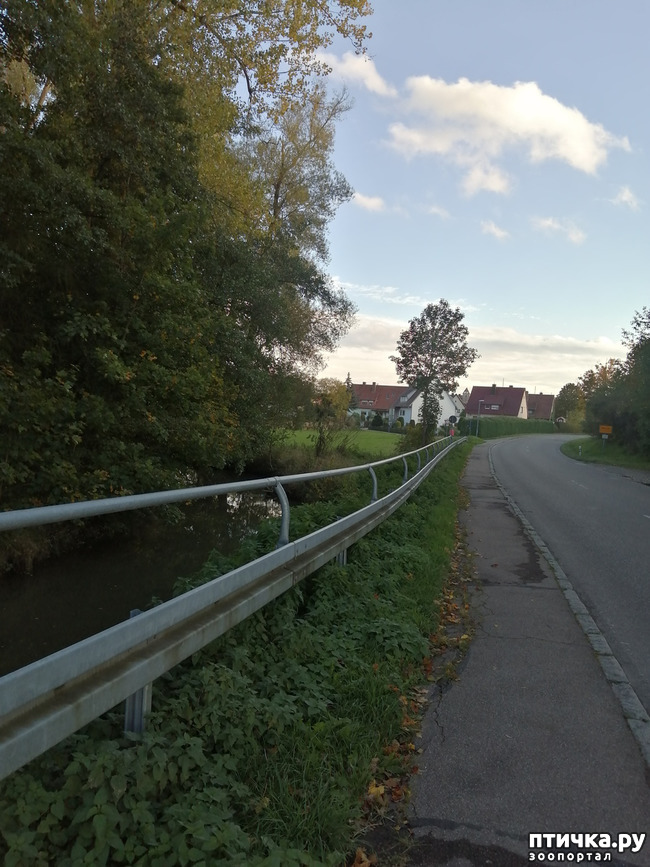 ���� 27: �������� ����� ����.