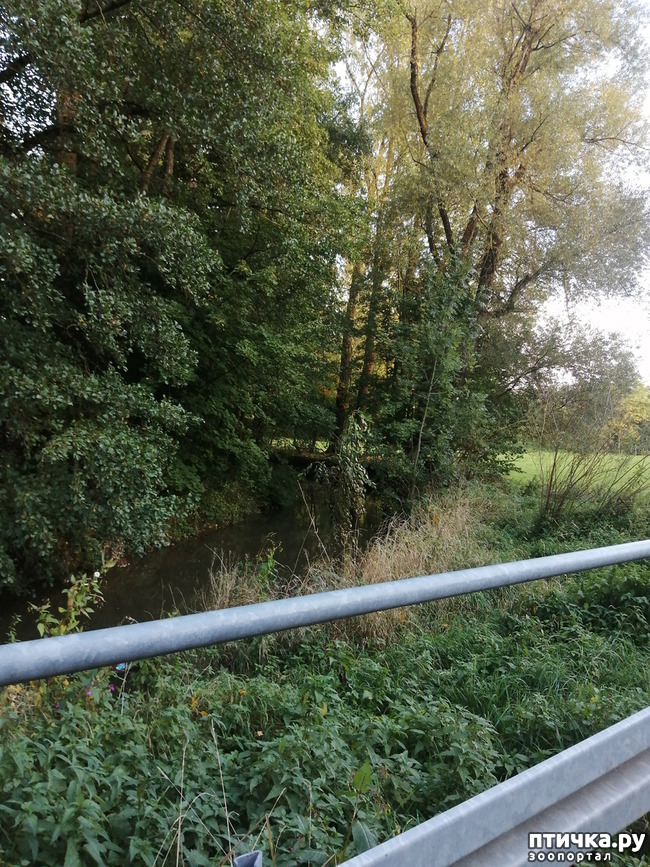 ���� 28: �������� ����� ����.