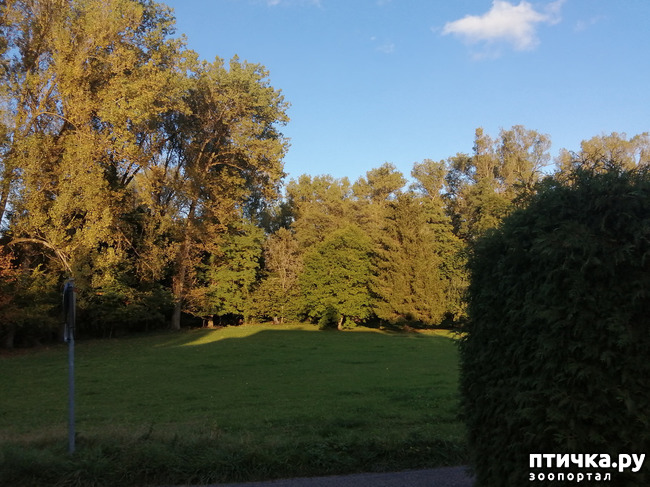 ���� 30: �������� ����� ����.