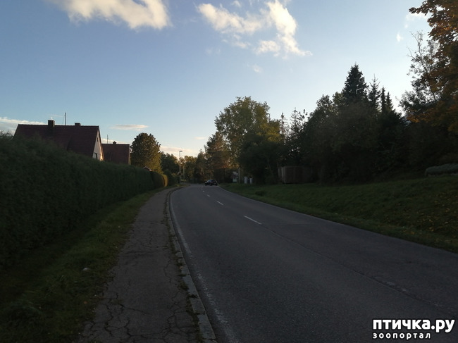 ���� 31: �������� ����� ����.