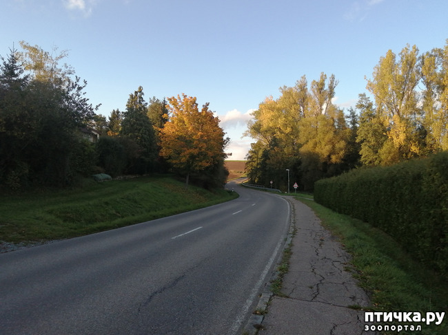 ���� 32: �������� ����� ����.