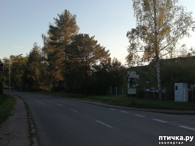 ���� 33: �������� ����� ����.