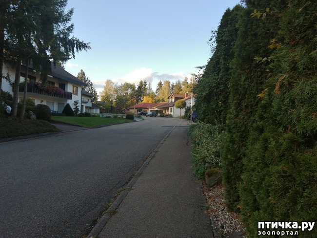 ���� 35: �������� ����� ����.