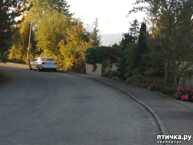 ���� 36: �������� ����� ����.