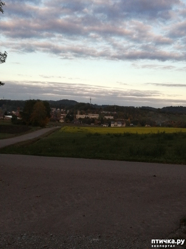 ���� 4: � ������ ������ �� ����� � ������)))