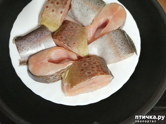 ���� 29: �������� ����� ����.