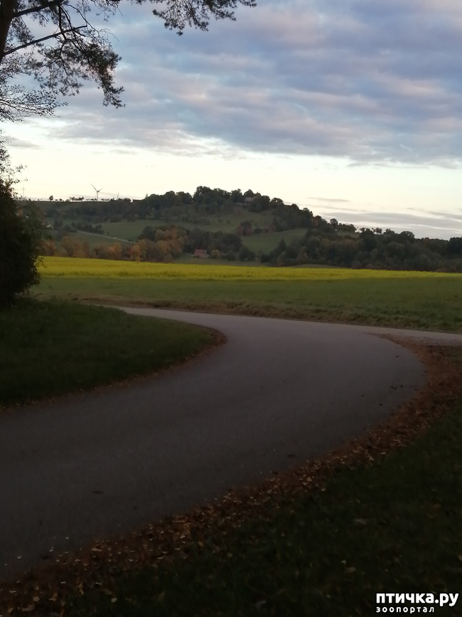 ���� 5: � ������ ������ �� ����� � ������)))