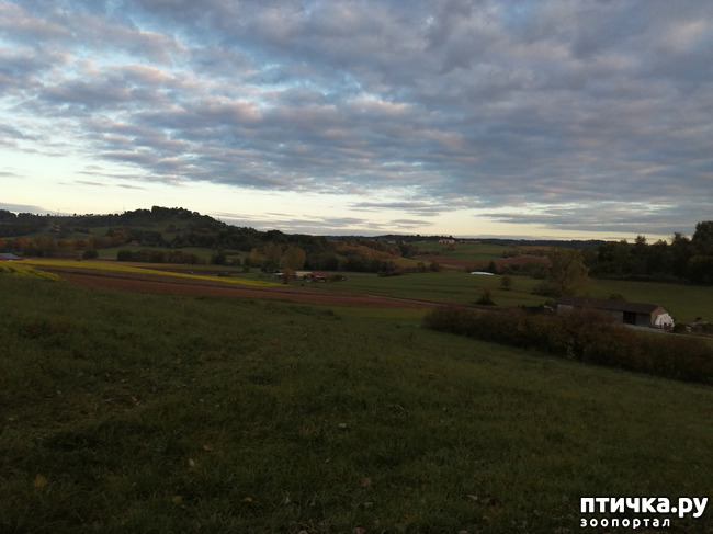 ���� 2: � ������ ������ �� ����� � ������)))