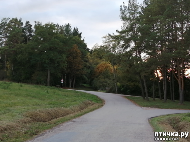 ���� 6: � ������ ������ �� ����� � ������)))