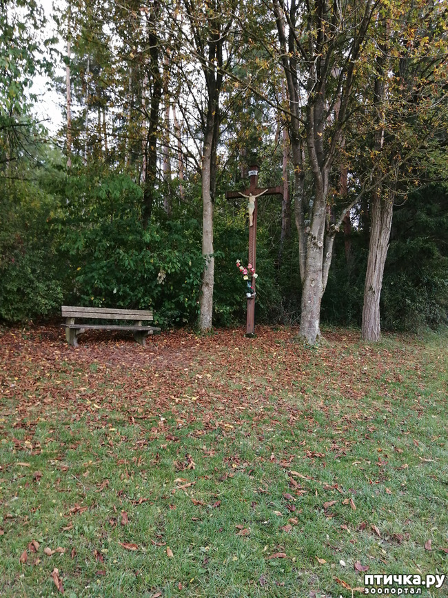 ���� 7: � ������ ������ �� ����� � ������)))