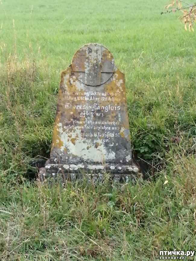 ���� 8: � ������ ������ �� ����� � ������)))