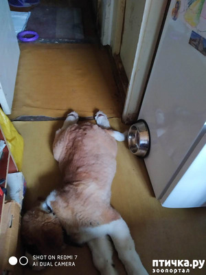 ����: ���� � ��� ������ ���� ������