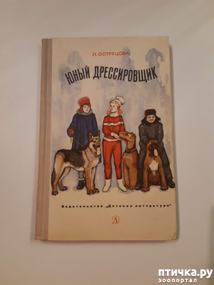 ����: ���������� ������ - �� � ����� �����