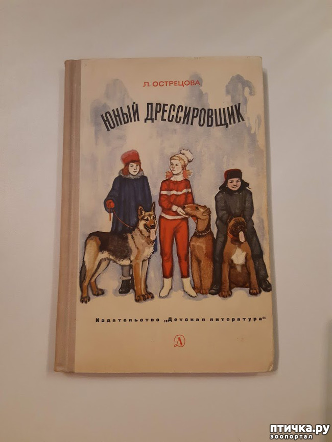 ���� 1: ���������� ������ - �� � ����� �����