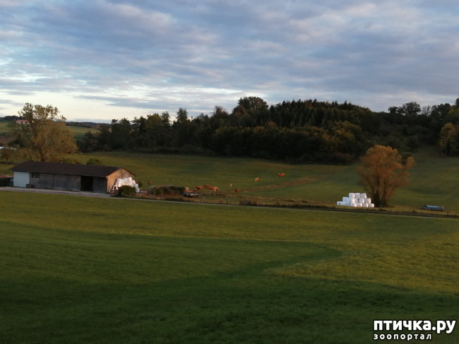 ���� 10: � ������ ������ �� ����� � ������)))