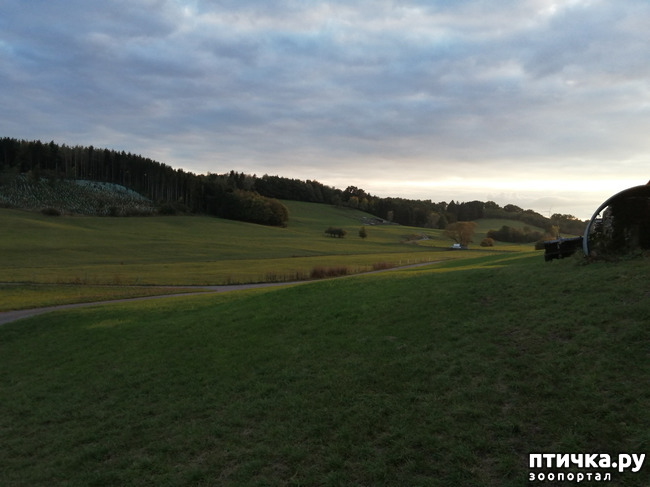 ���� 11: � ������ ������ �� ����� � ������)))