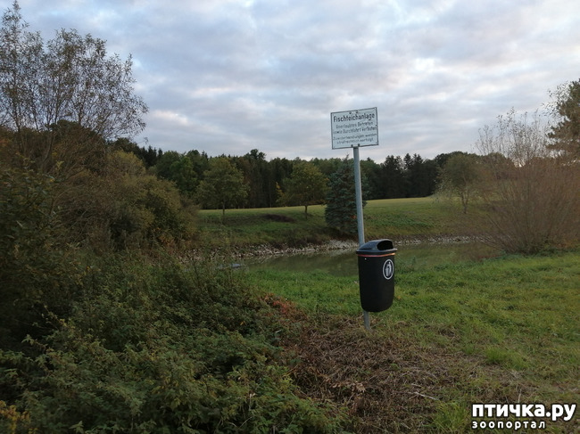 ���� 13: � ������ ������ �� ����� � ������)))