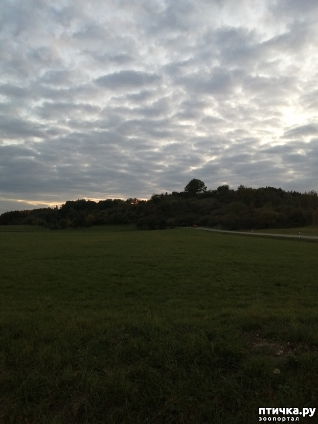 ���� 15: � ������ ������ �� ����� � ������)))