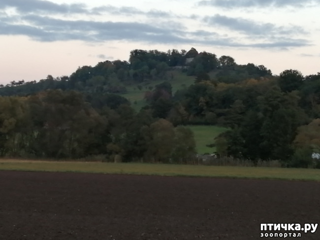 ���� 16: � ������ ������ �� ����� � ������)))