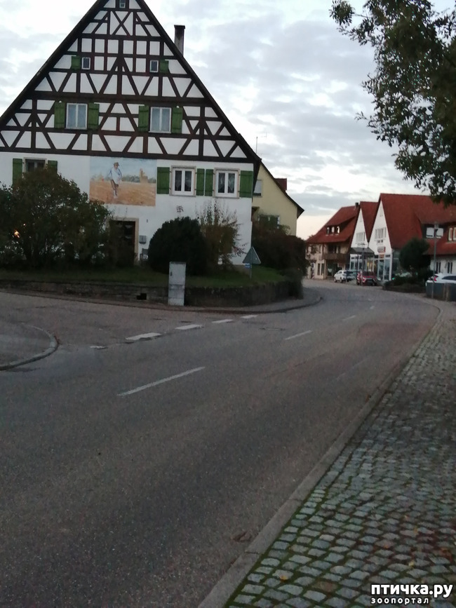 ���� 17: � ������ ������ �� ����� � ������)))