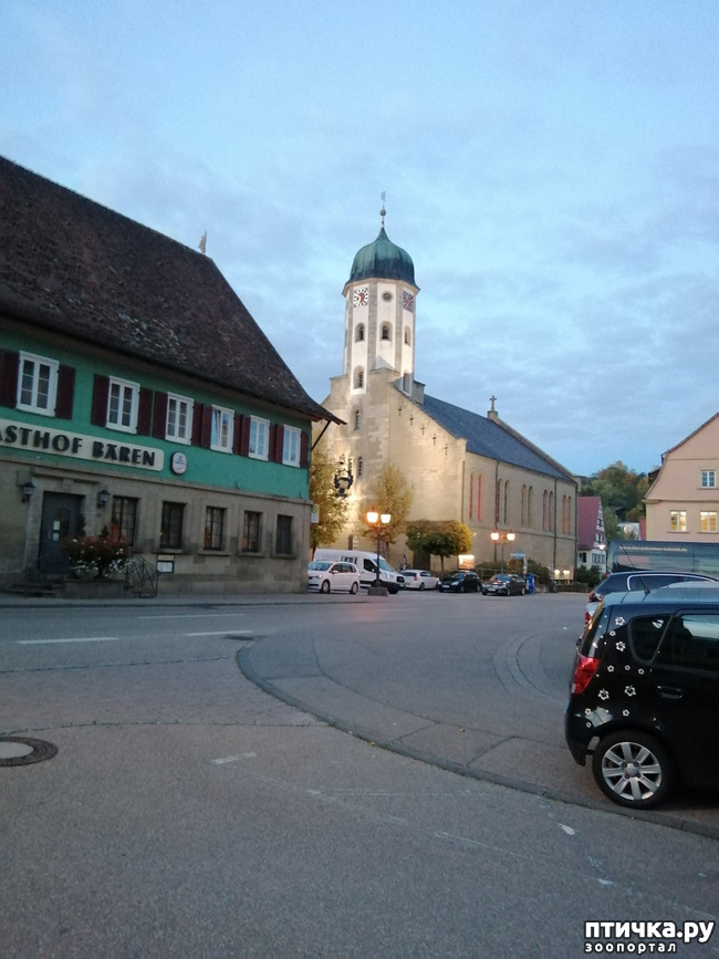 ���� 18: � ������ ������ �� ����� � ������)))