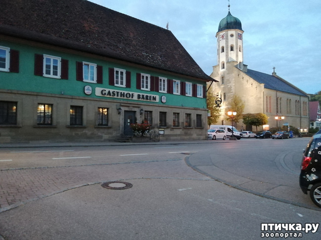 ���� 19: � ������ ������ �� ����� � ������)))