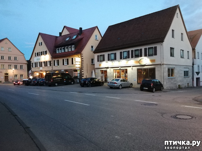 ���� 20: � ������ ������ �� ����� � ������)))