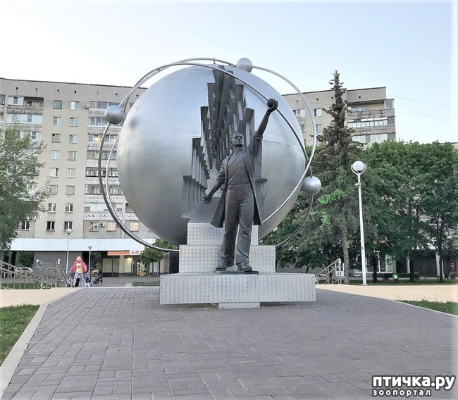 ���� 1: ����� � ��� ������