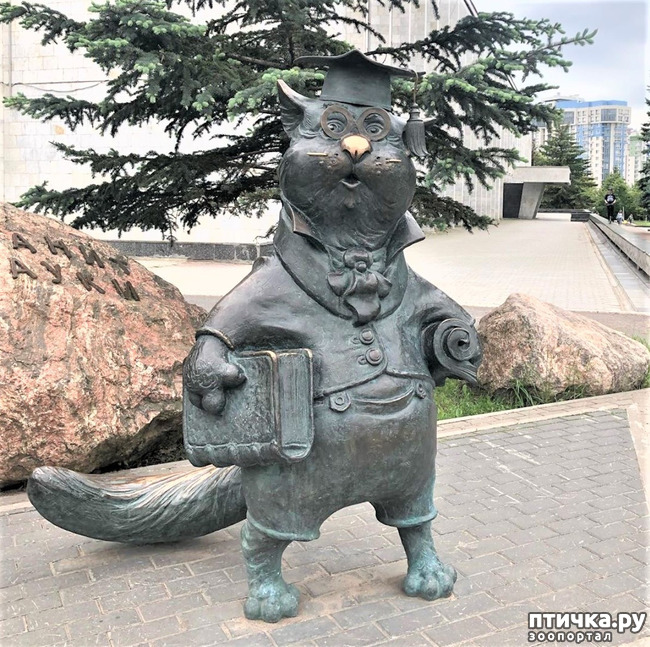 ���� 2: ����� � ��� ������