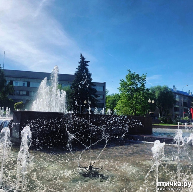 ���� 3: ����� � ��� ������