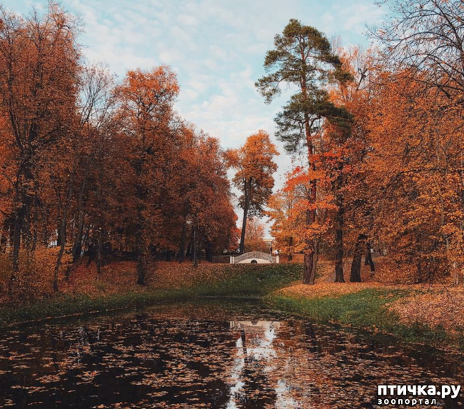 ���� 4: ����� � ��� ������