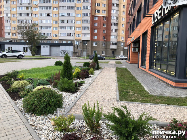 ���� 5: ����� � ��� ������