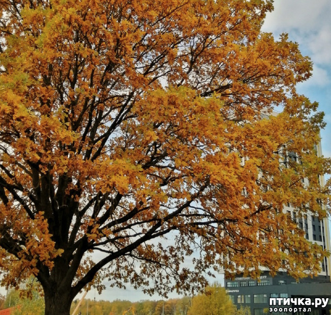 ���� 6: ����� � ��� ������