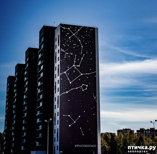 ���� 7: ����� � ��� ������