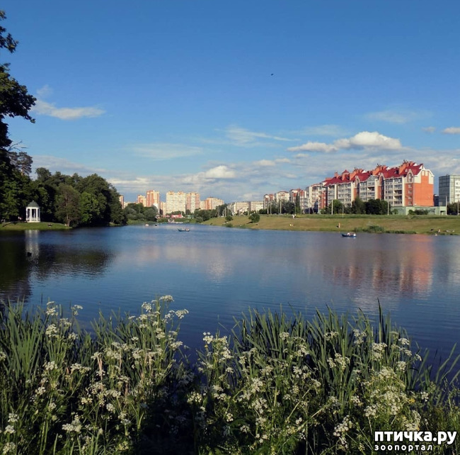 ���� 8: ����� � ��� ������