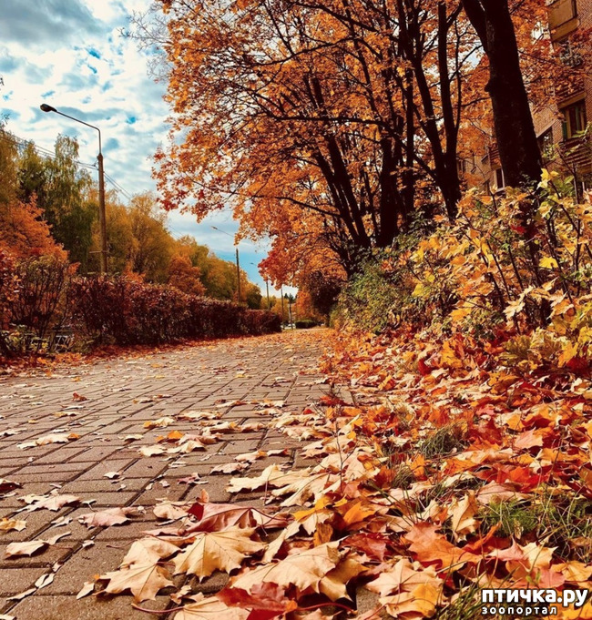 ���� 9: ����� � ��� ������