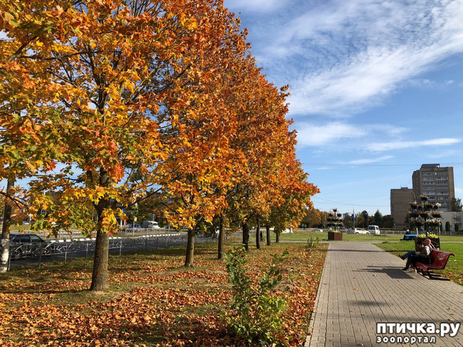 ���� 10: ����� � ��� ������