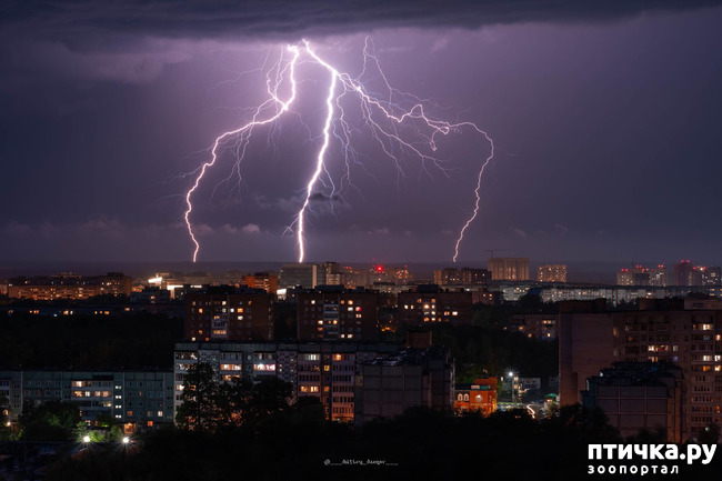 ���� 11: ����� � ��� ������