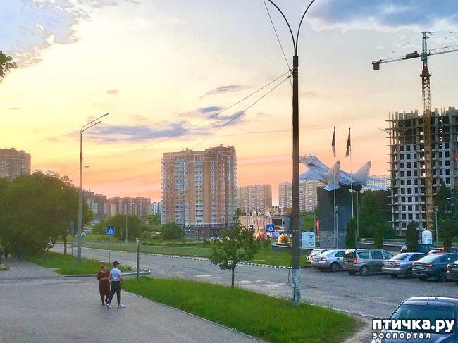 ���� 12: ����� � ��� ������