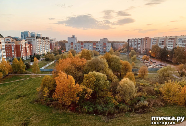 ���� 14: ����� � ��� ������