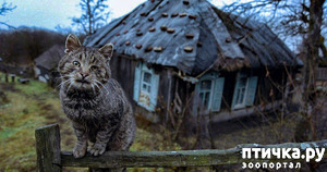 ����: ��������� �����