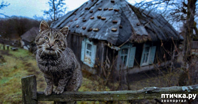 ���� 1: ��������� �����