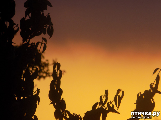 ���� 3: ���� ������ ���. �Ѩ �� �����.