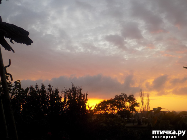 ���� 5: ���� ������ ���. �Ѩ �� �����.