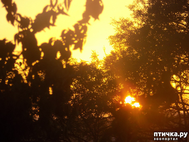 ���� 7: ���� ������ ���. �Ѩ �� �����.