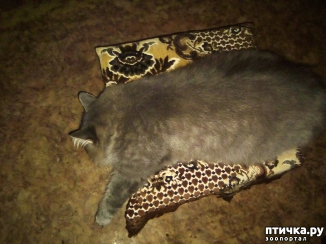 ���� 16: ���� ������ ���. �Ѩ �� �����.