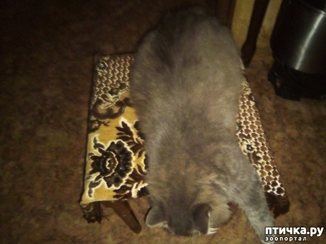 ���� 17: ���� ������ ���. �Ѩ �� �����.