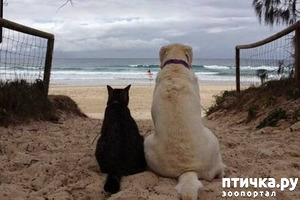 ����: �����