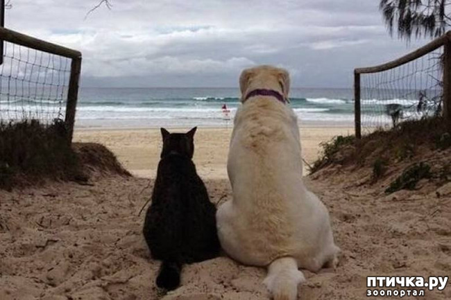 ���� 1: �����